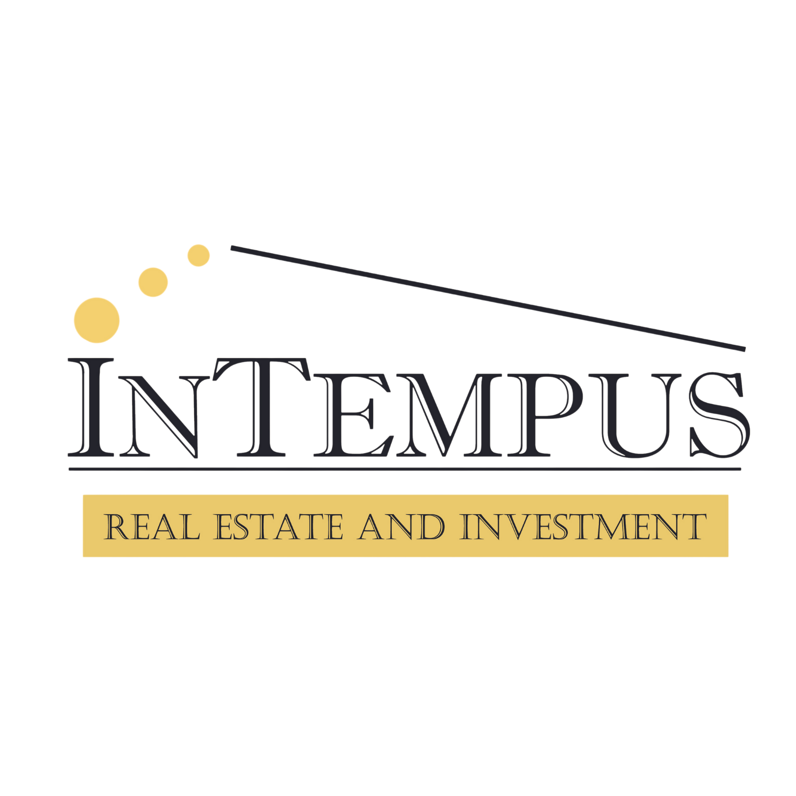 Intempus Realty logo