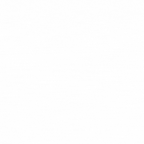 PMI North Lake Homes logo