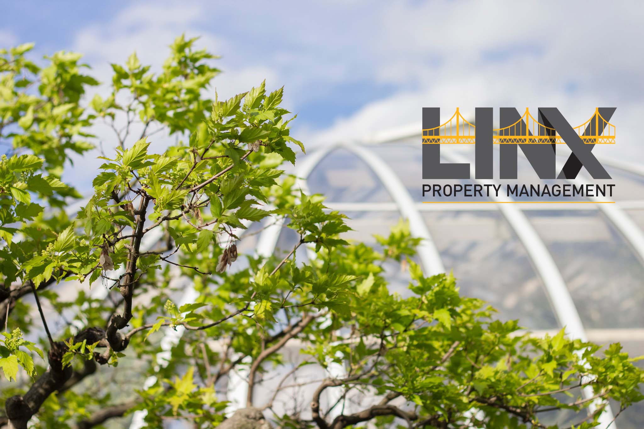 LINX Property Management & Sales logo