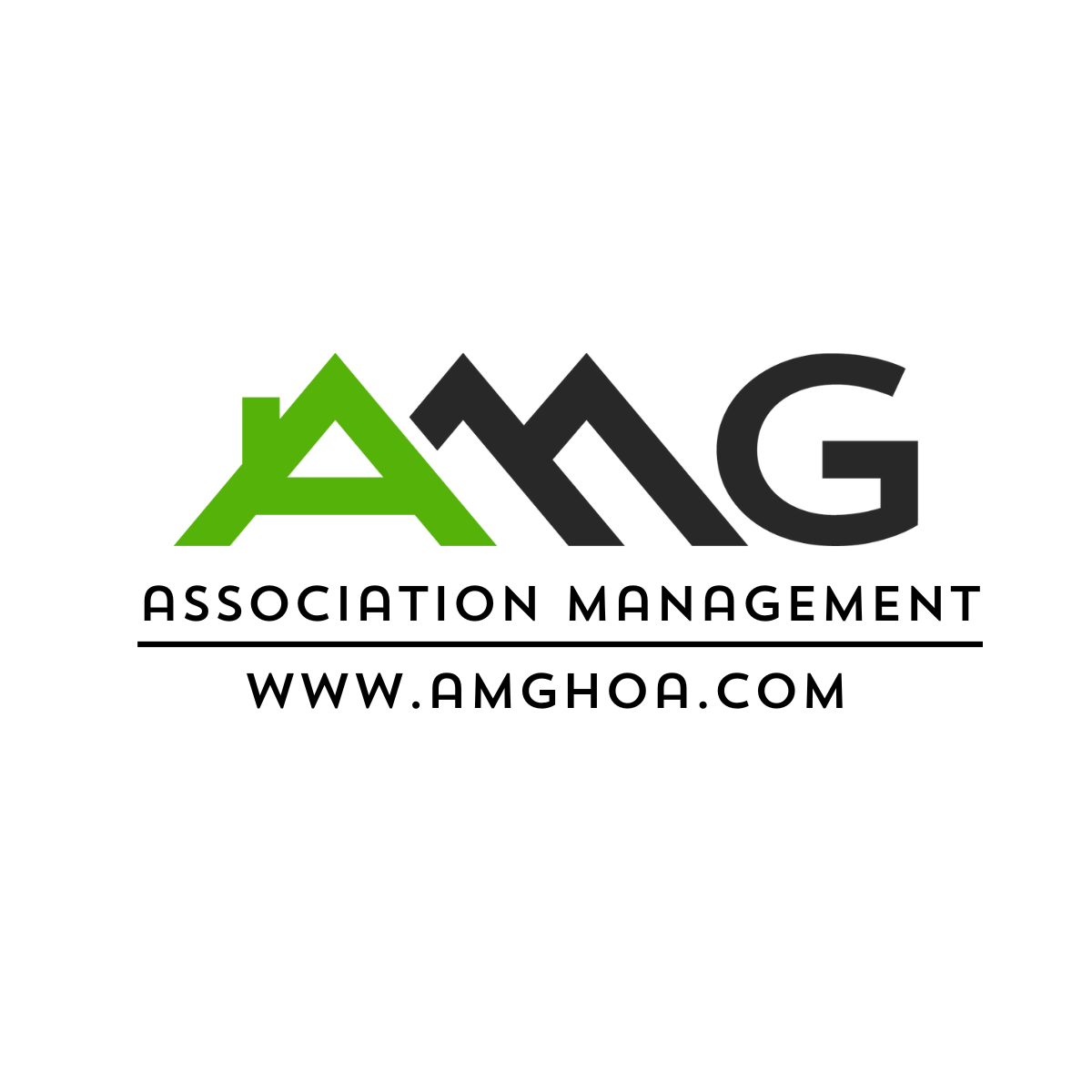 AMG - Texas logo