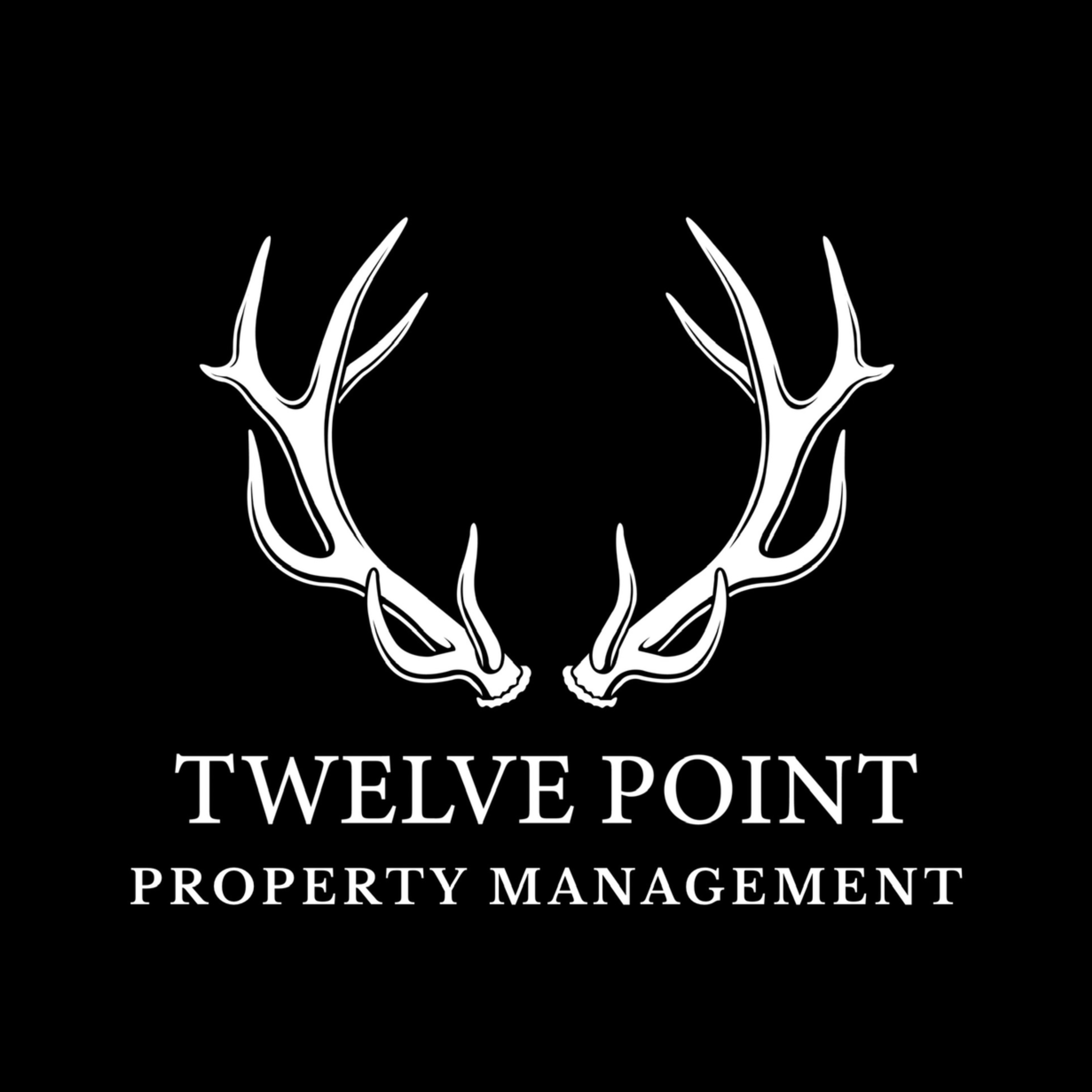 Twelve Point Property Management logo